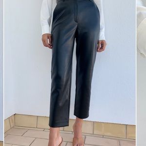 Aritzia Babaton vegan leather pants